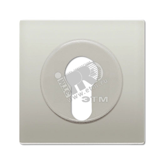 Крышка к выключателю для замочного механизма  благородная сталь