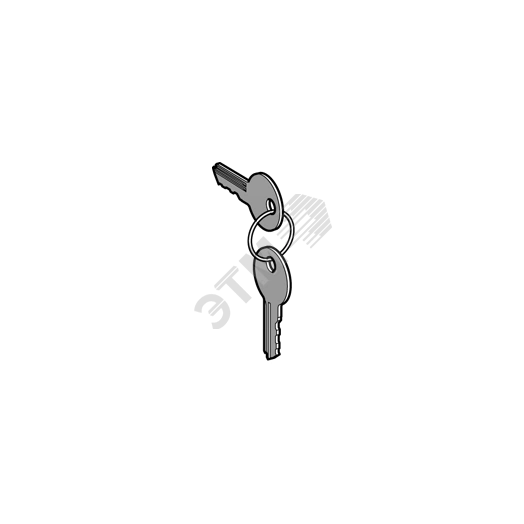 Ключ №455 с защитным колпачком