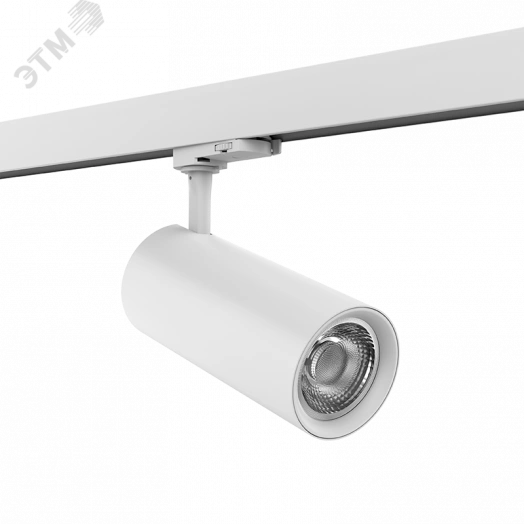 Светильник светодиодный ДДО-30Вт 4000К TT-02 2.0 Белый