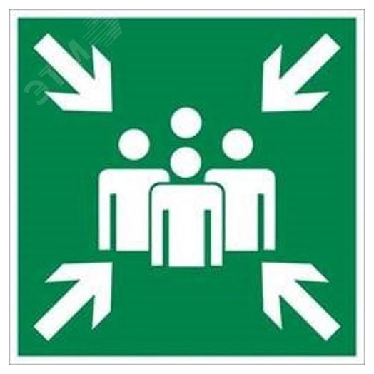 Пиктограмма ПЭУ 021 Место сбора, тип Е21 (210х105) LUNA/MARS