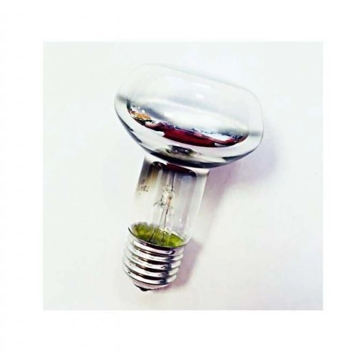 Лампа накаливания ЗК 40Вт R63 230-40 E27 (50) Favor 8105010 Лампа накаливания ЗК 40Вт R63 230-40 E27 (50) Favor 8105010