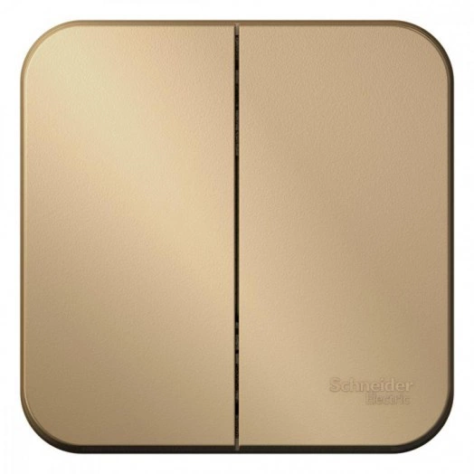 Выключатель 2-кл. ОП Blanca 10А IP20 (сх. 5) 250В с изолир. пластиной титан SchE BLNVA105014