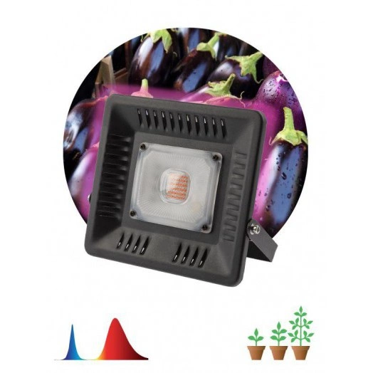 Прожектор для растений FITO-50W-LED BLUERED 50Вт IP65 220-240В -30град. до + 45град. 30000ч ЭРА Б0039033