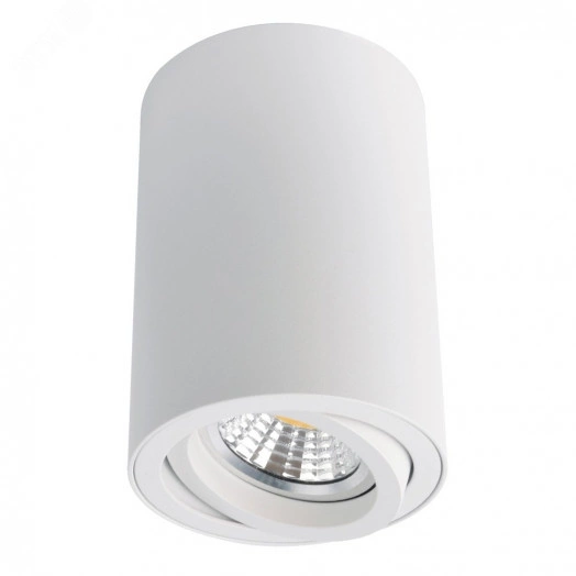 Светильник Arte Lamp SENTRY A1560PL-1WH