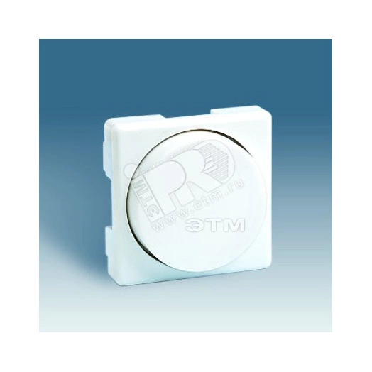 Накладка на 75311-, 75317-, 75319-39, сл.кость