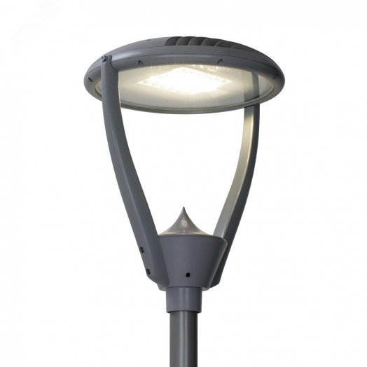 Светильник светодиодный ДТУ-60 Факел LED IP65 ШОС/Т60(5500/740/RAL7040/D/0/GEN2)