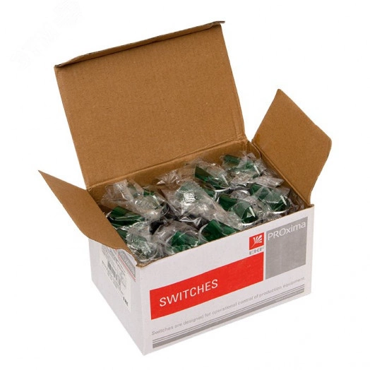 Переключатель ANLC-22 2P зеленый с подсветкой 380В NO+NC