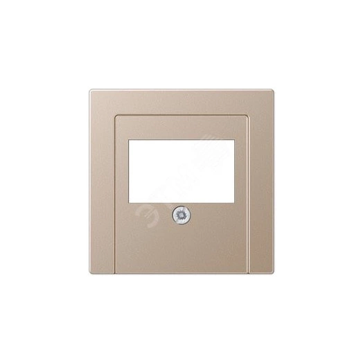 Накладка для USB розетки (ТАЕ гнезда)  Серия A500  Материал- дуропласт  Цвет- шампань
