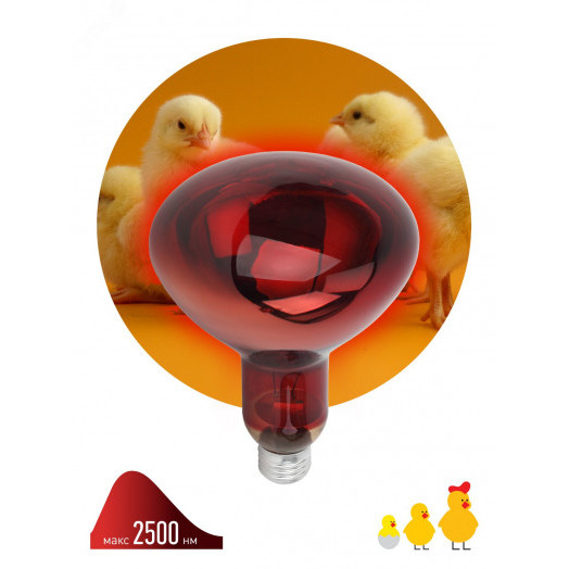 Инфракрасная лампа ИКЗК 220-250 R127, кратность 1 шт. для обогрева животных и освещения, 250 Вт, Е27 ЭРА