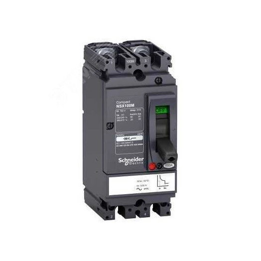 Выключатель автоматический двухполюсный NSX100M 100A AC/DC
