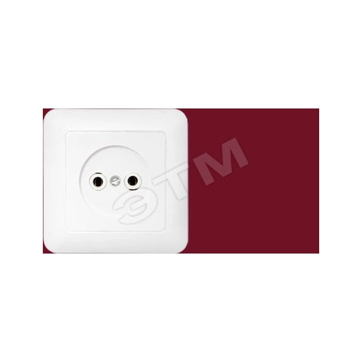 Беларусь розетка 1-но местн РС16-299