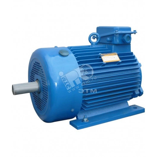 Электродвигатель 5MTKH 225 L6 55/943 IM 1003