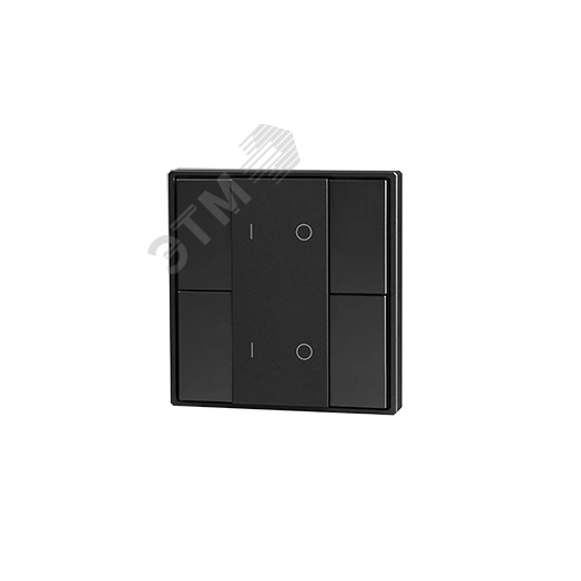 Кнопочная панель 4-х кл. (2 группы), пластиковый корпус, черный DA-SW-G2-PB