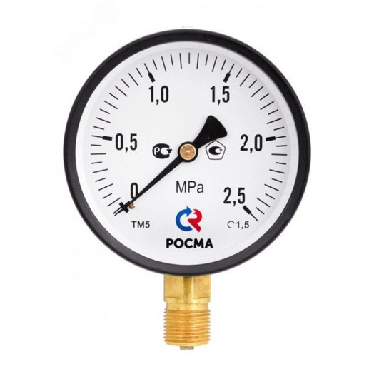 Манометр общетехнический ТМ-310Т 0-6MPa осевой 63мм  G1/4 кл. т. 1.5