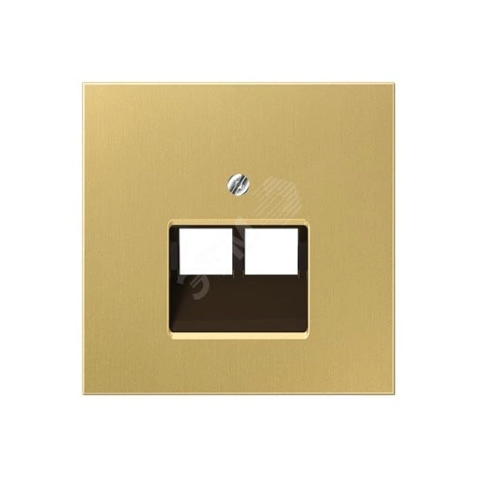 Накладка для 2-ой телефонной/компютерной розетки  IAE/UAE (1 x 8-пол.)  Серия LS990  Материал- металл  Цвет- классическая латунь