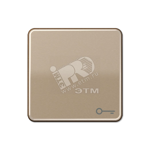 Клавиша с символом  ключ   золотая бронза