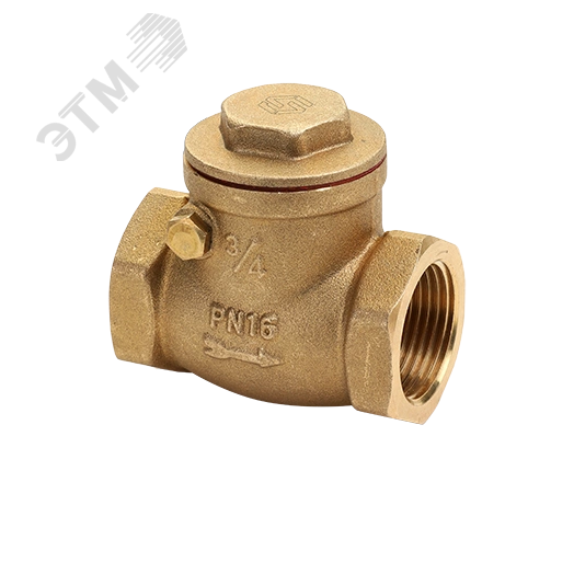 Клапан обратный 1' дисковый горизонтальный