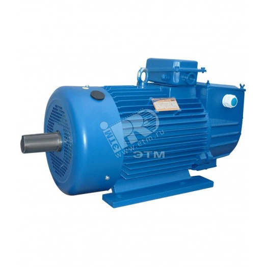 Электродвигатель 5MTH 312-8 11/700 IM 1001