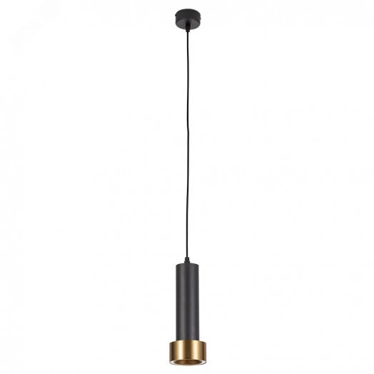 Подвесной светильник Arte Lamp RAN A3147SP-1BK