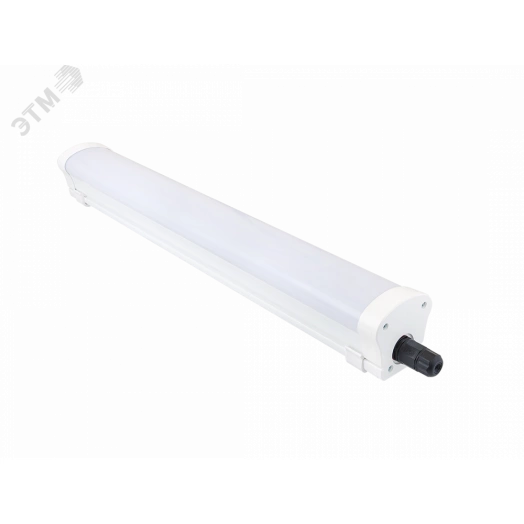 Diora LPO/LSP SE 50/5300 Mini-12 opal 5K T