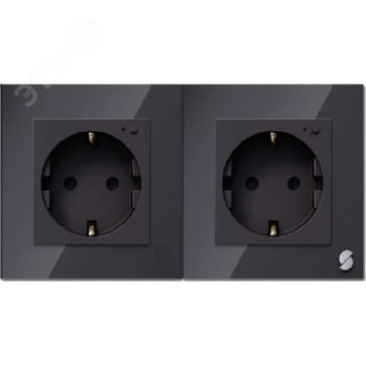 Розетка встраиваемая Sibling Powerswitch-W2, черная