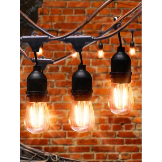 Гирлянда нить Филамент, 4,5 м, длина провода 60 см, 10 LED, теплый белый, E27, каучук, 220В, IP44 ERABL-FIL1 ЭРА