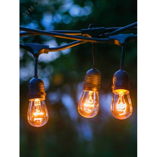 Гирлянда нить Филамент, 4,5 м, длина провода 60 см, 10 LED, теплый белый, E27, каучук, 220В, IP44 ERABL-FIL1 ЭРА