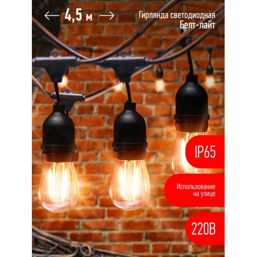 Гирлянда нить Филамент, 4,5 м, длина провода 60 см, 10 LED, теплый белый, E27, каучук, 220В, IP44 ERABL-FIL1 ЭРА