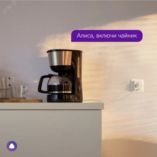 Сетевой переходник 2300 Вт 207-253 В 10А IP20 (Умная розетка) c заземлением Smart Home Gauss