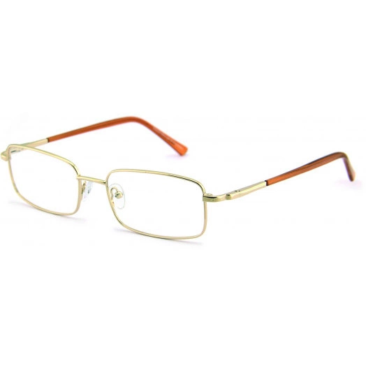 Очки защитные корригирующие О13 Favori Office Standart