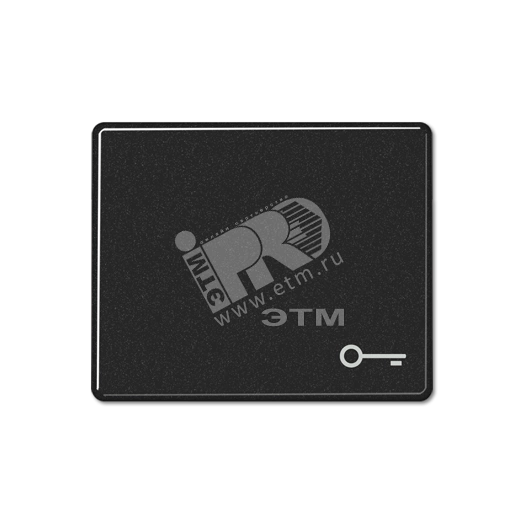 Клавиша для выключателя с символом  ключ   черная