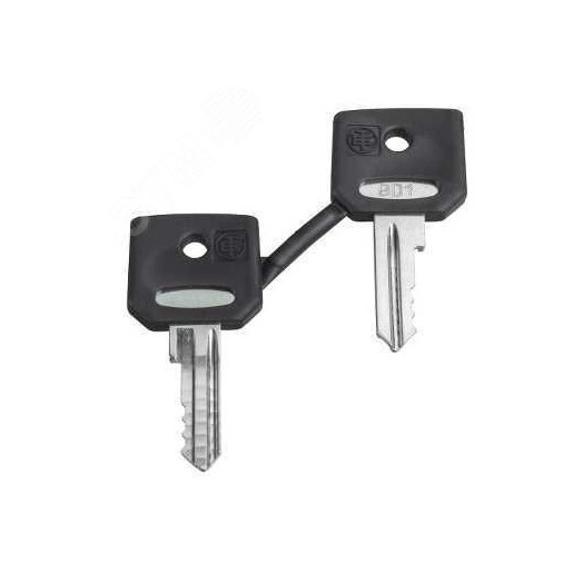 Комплект ключей N/421E