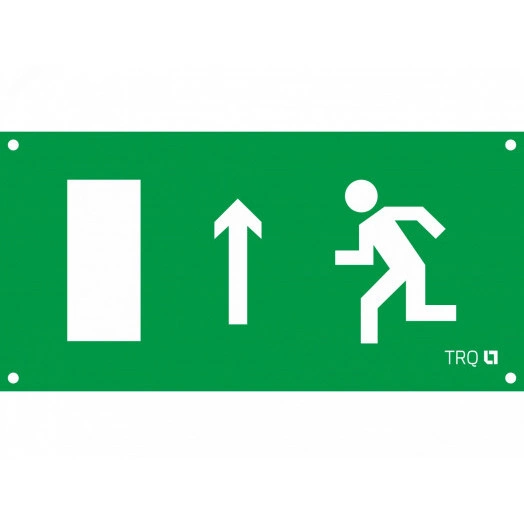 Пиктограмма ПЭУ 013 (Выход прямо вверх) 240х125 РС-M (2шт)