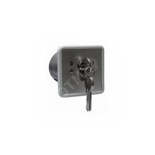 Переключатель с ключом Keyswitch, врезной, 2 группы контактов НР/НЗ, высокий уровень секретности