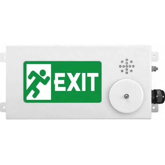 Табло малогабаритное светозвуковое ТСЗВ-Exm-М-Прометей-МИНИ 12-36В ПОЖАР-оцинкованная сталь