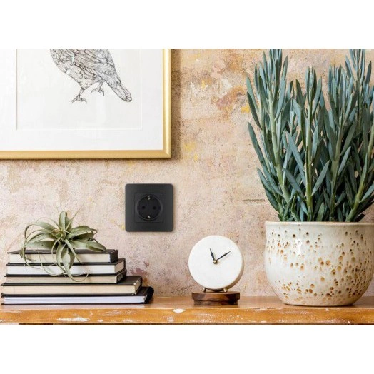 Механизм розетки 1-м СП Inspiria 16А IP20 250В 2P+E немецк. стандарт антрацит Leg 673723