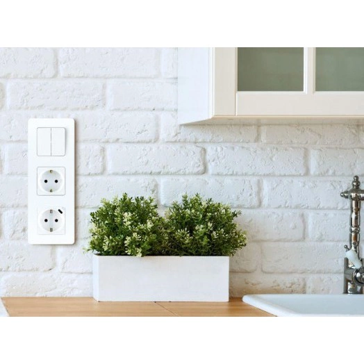 Механизм розетки 1-м СП Inspiria 16А IP20 250В 2P+E немецк. стандарт со встроен. зарядным устройством USB C 1.5А 5В бел. Leg 673770