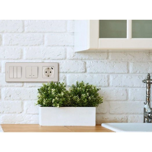 Механизм розетки 1-м СП Inspiria 16А IP20 250В 2P+E немецк. стандарт со встроен. зарядным устройством USB C 1.5А 5В сл. кость Leg 673771