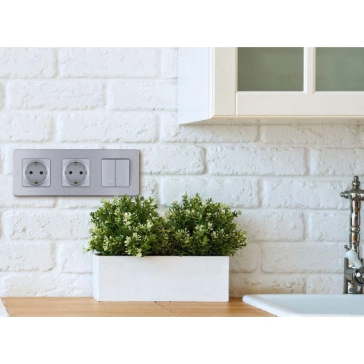 Механизм выключателя 2-кл. Inspiria 10А IP20 250В 10AX с подсветкой / индикацией алюм. Leg 673632