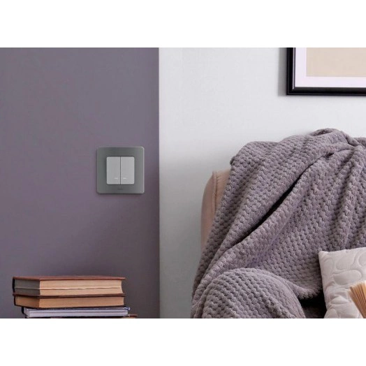 Механизм выключателя 2-кл. Inspiria 10А IP20 250В 10AX с подсветкой / индикацией алюм. Leg 673632