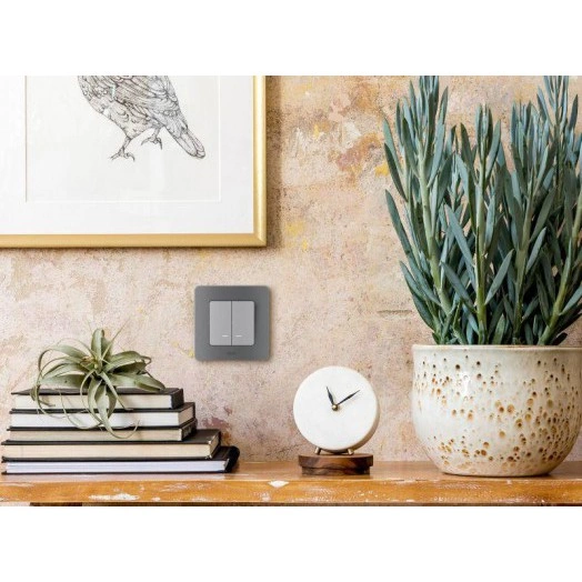 Механизм выключателя 2-кл. Inspiria 10А IP20 250В 10AX с подсветкой / индикацией алюм. Leg 673632