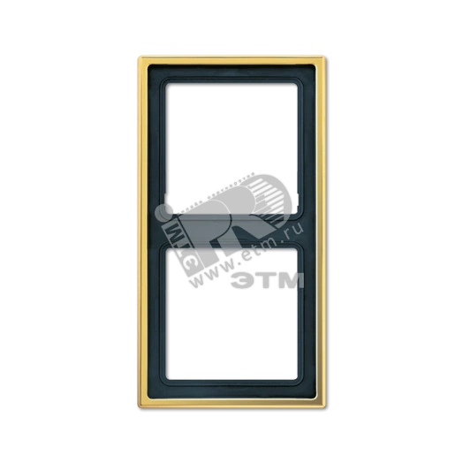 Рамка 2 поста золото