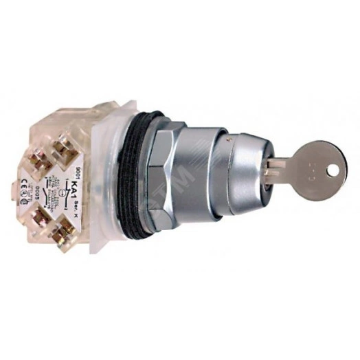 Переключатель 30мм с ключом RONI