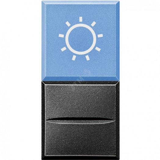 Axolute Кнопка AXIAL с рассеивателем 1Р голубой символ Лампа 12 В~ 10А антрацит