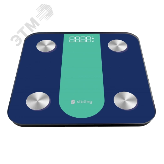 Весы умные сине-зелёные Sibling
