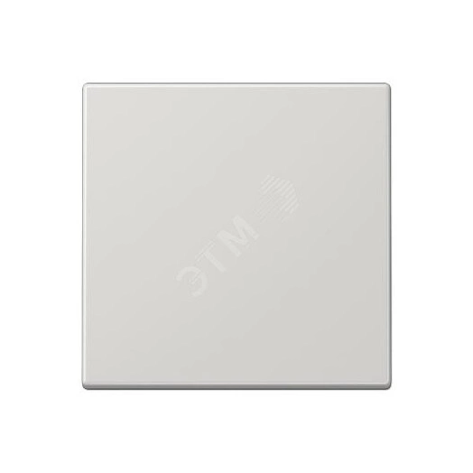 Клавиша 1-я для выключателей и кнопок  без подсветки. Серия LS990  Материал- дуропласт  Цвет- светло-серый