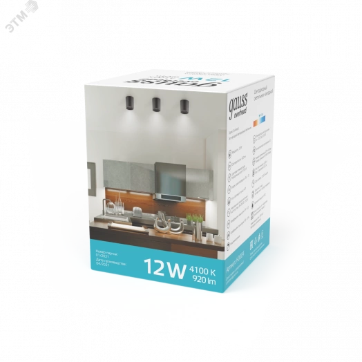 Светильник светодиодный ДПО 12 Вт 920 Лм 4100К цилинндр накладной 170-240 В 79х100 мм IP20 черный LED Overhead Gauss