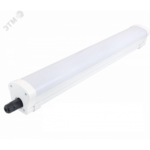 Diora LPO/LSP SE 30/3000 Mini-6 opal 3K T A