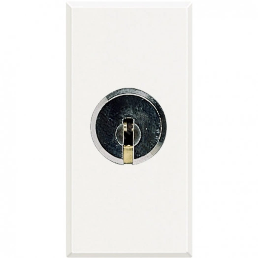 Axolute Выключатель 2Р 16А 250В~ с ключом белый