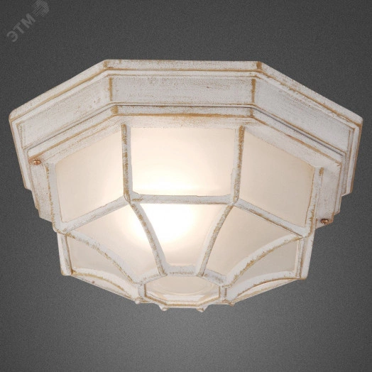 Светильник Тартаруга НПП 03-100-005 IP65 матовый /корпус с решеткой белый ИМ